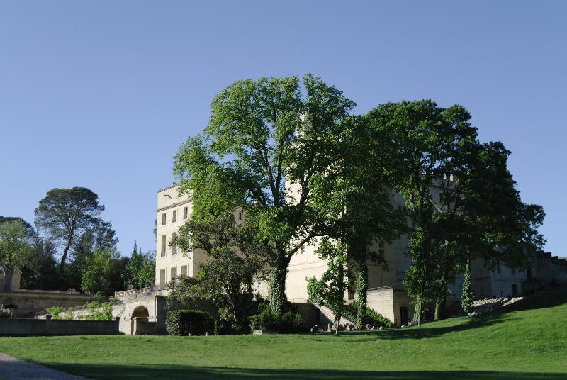 ホテル Chateau De Pondres Villevieille エクステリア 写真