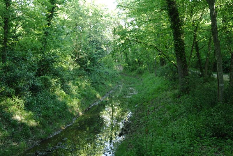 ホテル Chateau De Pondres Villevieille エクステリア 写真