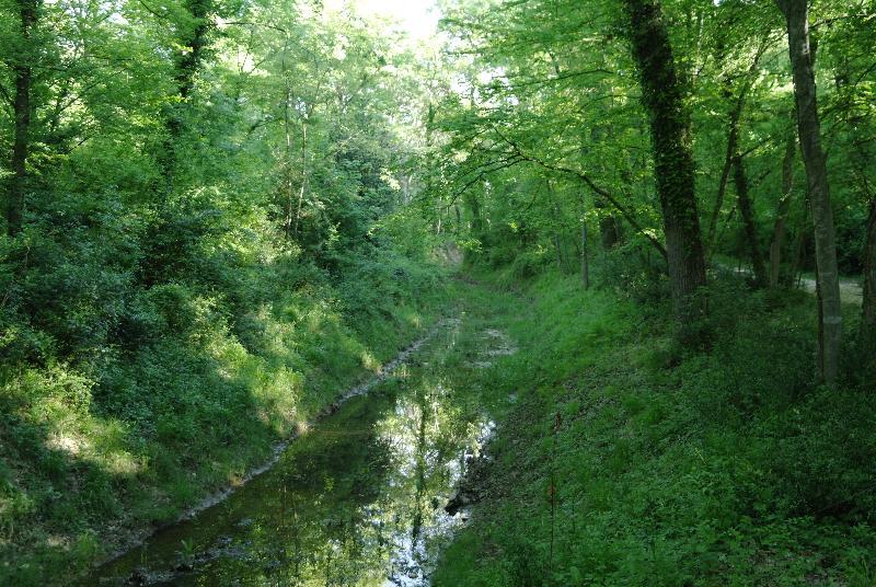 Chateau De Pondres Villevieille エクステリア 写真